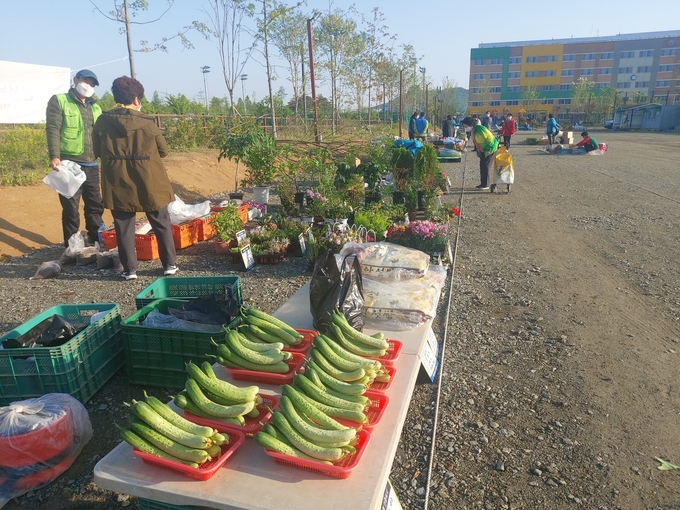 6일 오전 7시께 안성농업인새벽시장을 찾은 소비자들이 농산물을 고르고 있다. (사진=편지수 기자)