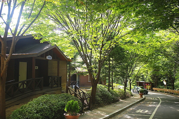 용인 자연휴양림 (사진 = 용인 자연휴양림 제공 )