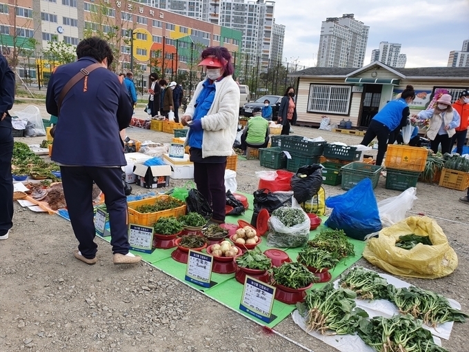 6일 오전 7시쯤 안성농업인새벽시장을 찾은 소비자들이 농산물을 고르고 있다. (사진=편지수 기자)
