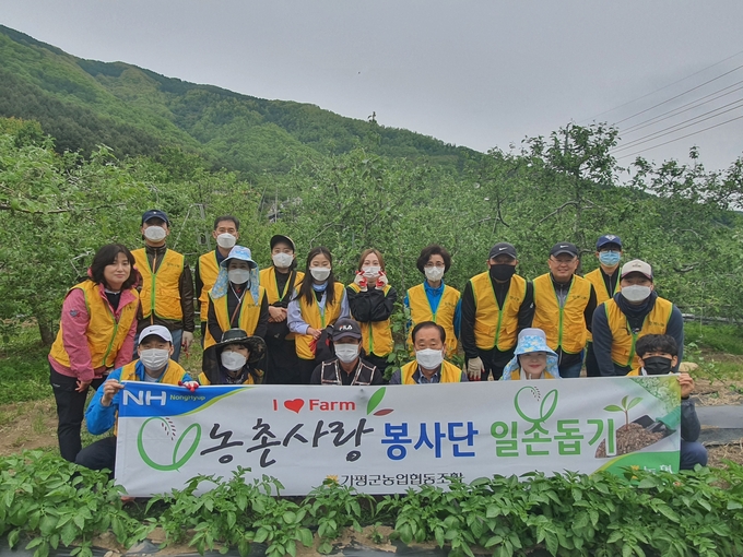 가평군농협 최승수 조합장을 비롯한 조합원 임직원들이 지난 10일 북면 제령리 사과농가에서 부족한 일손을 돕는 지원 활동에 참가했다. (사진=가평군농협 제공)