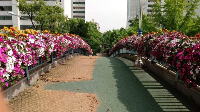 꽃단장된 안양시 달안동 육교. (사진=안양시 제공)