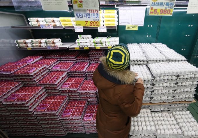 (사진=연합뉴스)