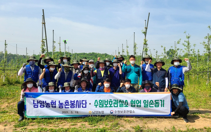 화성시 남양농협이 일손 부족을 겪고 있는 과수 농가를 찾아 일손돕기 행사를 가졌다. (사진=남양농협 제공)