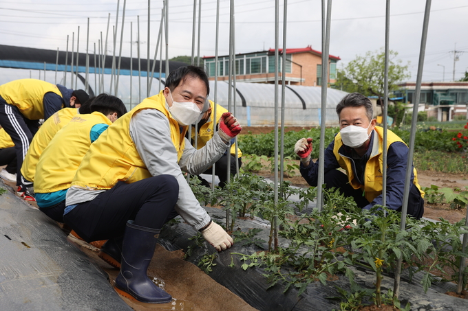 경기신용보증재단 임직원 20여명이 25일 파주시 소재 고추 재배농가를 방문해 ‘사랑의 농촌 일손돕기 봉사활동’을 진행했다.