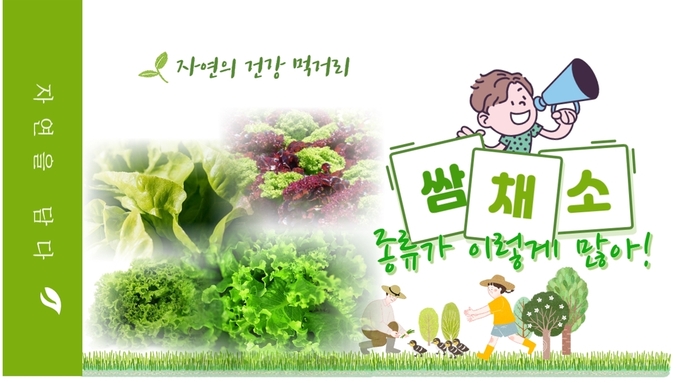 광주시가 제1회 쌈 축제 온라인 콘테스트를 통해 오는 31일 ‘쌈 데이’에 수상작 선정/광주시 제공