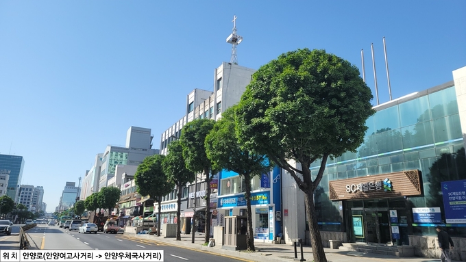안양로 일대가 아름다운 가로수 길로 조성됐다.(사진= 안양시 제공)