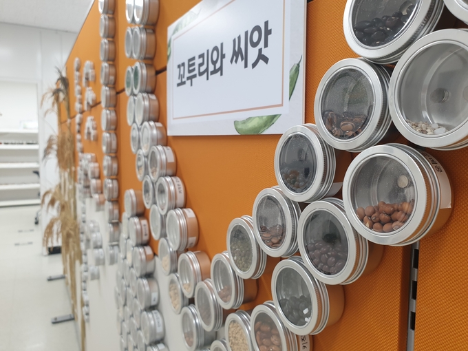 경기도종자관리소가 보관해 전시하고 있는 토종종자의 모습(사진=경기도종자관리소 제공)