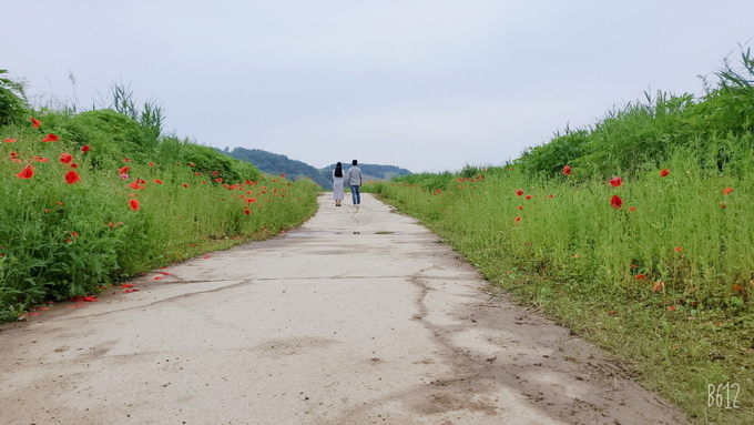 연천군이 중면 삼곶리에 '돌무더리; (사진=연천군 제공)