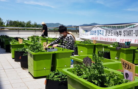 양주시 청년도시농부 교육 모습,.(사진=양주시 제공)