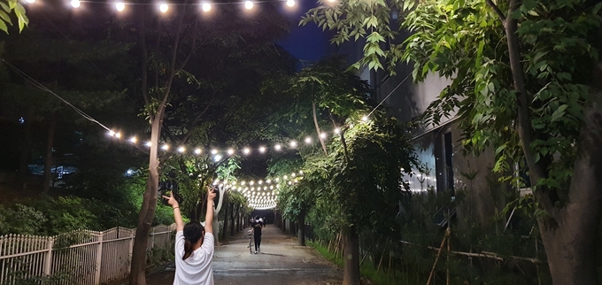금촌2동의 안전하고 아름다운 밤길 조명 모습.(사진=파주시 제공)