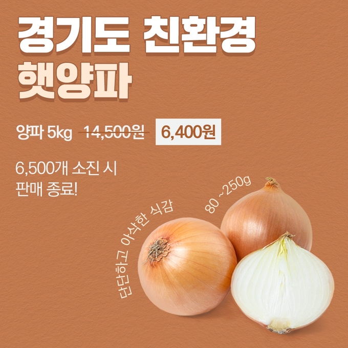 경기도 친환경 햇양파 홍보 포스터(사진=경기도 제공)