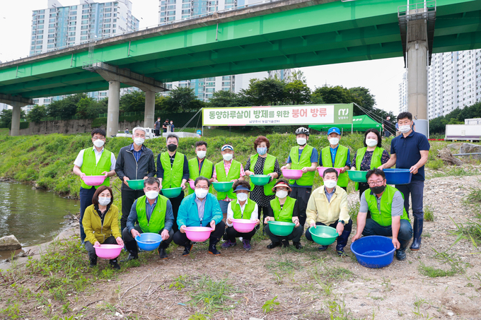 남양주시는 지난 17일 동양하루살이 방제를 위해 와부읍 월문천, 덕소천, 궁촌천과 한강이 합류하는 지점에 붕어 63만 마리를 방류했다.<br>
(사진=남양주시 제공)