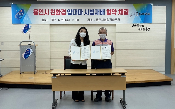 청년 농업인과 친환경 양대파 시범 재배 협약 체결 모습 (사진=용인시 제공)