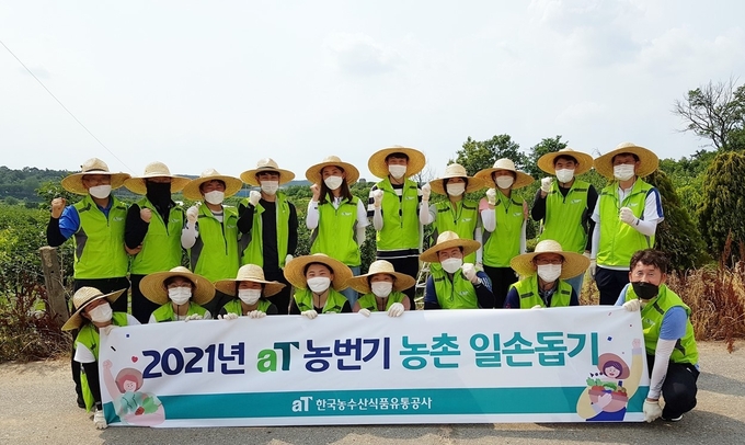 일손부족 농가를 찾아 봉사활동에 나선 aT임직원들이 함께 사진촬영을 하고 있다. ( 사진 = aT인천본부 제공 )