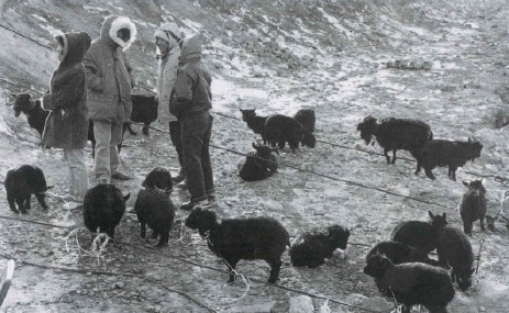 1986년 겨울 모란장 모습. 사진=경기도메모리