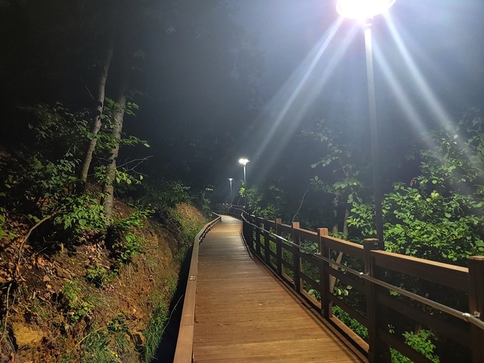 파주 헤이리 노을숲길에 야간 전등이 설치돼 산책인들의 편의를 제공하게 됐다. (사진=파주시 제공)