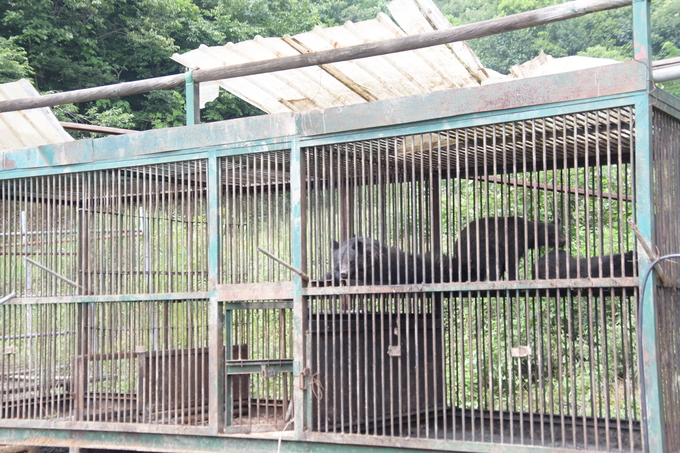 지난 6일 사육 중인 곰이 탈출한 용인시 처인구 이동읍의 농장 모습 (사진=신경철 기자)