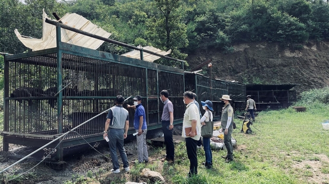 용인시, 환경부, 경기도, 국립공원공단 관계자들이 8일 반달가슴곰 2마리가 탈출한 용인의 한 곰 사육농장을 살펴보고 있다. 1마리는 지난 6일 탈출 당일 사살됐고, 1마리는 아직 발견되지 않았다. (사진=용인시 제공)