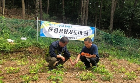 인천산림조합 관계자가 농장주에게 산나물류 재배 및 경영에 대한 현장 컨설팅을 하고 있다. ( 사진 = 인천산림조합 제공 )