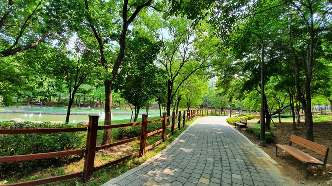 용인시가 경관과 산책로 개선 사업을 벌이는 공원의 모습 (사진=용인시 제공)