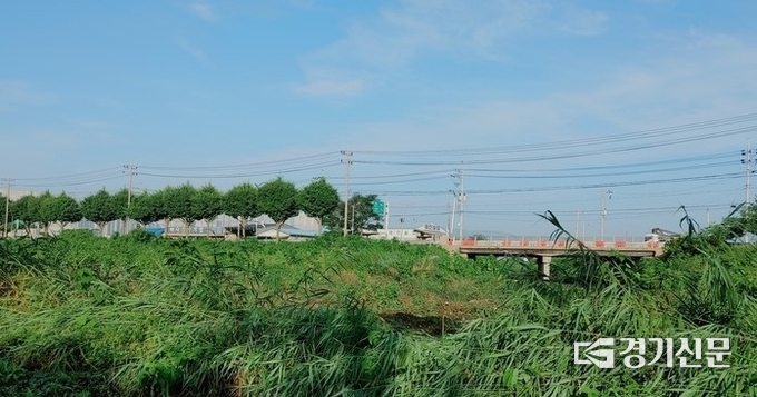 A씨가 발견된 지점 (사진= 문석완 기자)