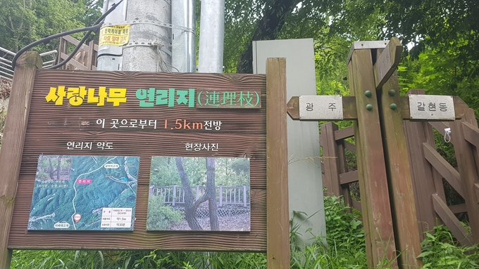 이배재 정상에 설치된 사랑나무 연리지 안내판. (사진=성남학연구소 제공)