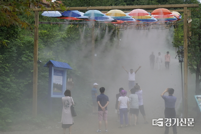 포천 허브아일랜드에서 향기 샤워 축제가 열리고 있다. (사진=허브아일랜드 제공)