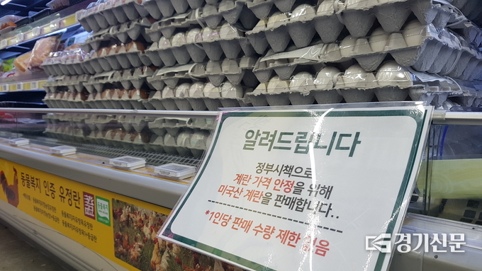 모 마트 매장에 전시된 계란의 모습. (사진=현지용 기자)
