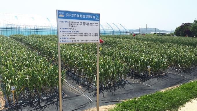 (사진=경기도농업기술원)
