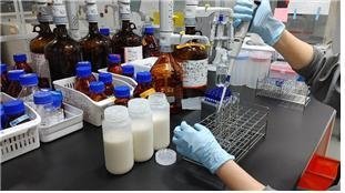 경기도동물위생시험소 연구원이 운료우유 잔류물질검사를 진행하고 있다(사진=경기도 제공)