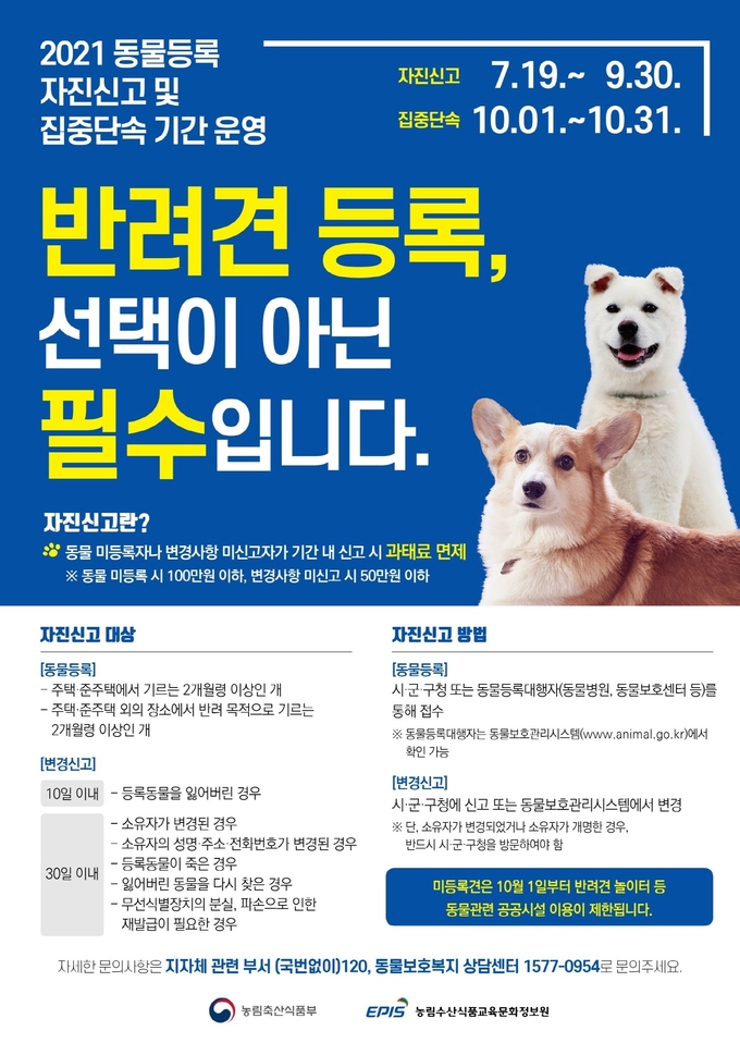 시흥시 동물등록 자진신고 기간 운영 포스터. (포스터=시흥시 제공)