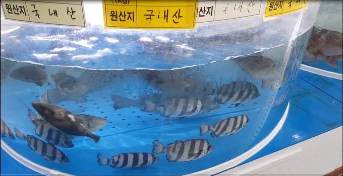 경기도 특별사법경찰단이 도내 수입 수산물 취급음식점 및 유통·판매·가공업소 57곳을 적발했다. (사진= 경기도 제공)