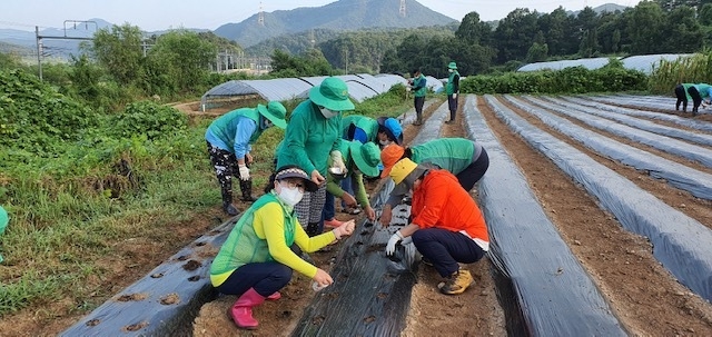 (사진=양평군 양서면 제공)
