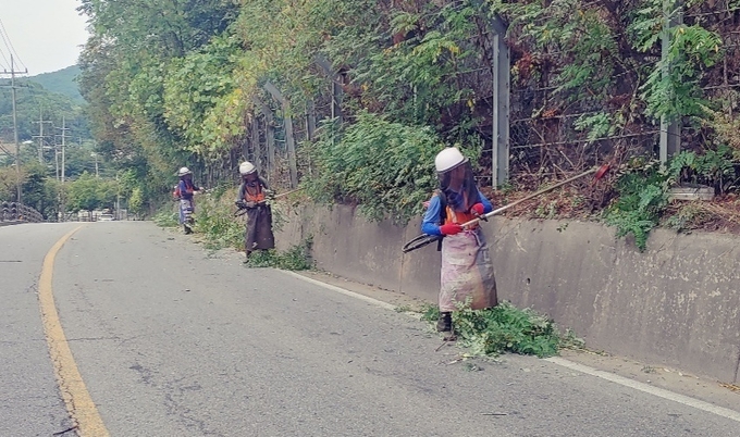 광주시 초월읍이 주요 도로변 풀깎기 작업과 지정한 집중 청소기간에 대청소를 하고 있다. (사진=광주시 제공)