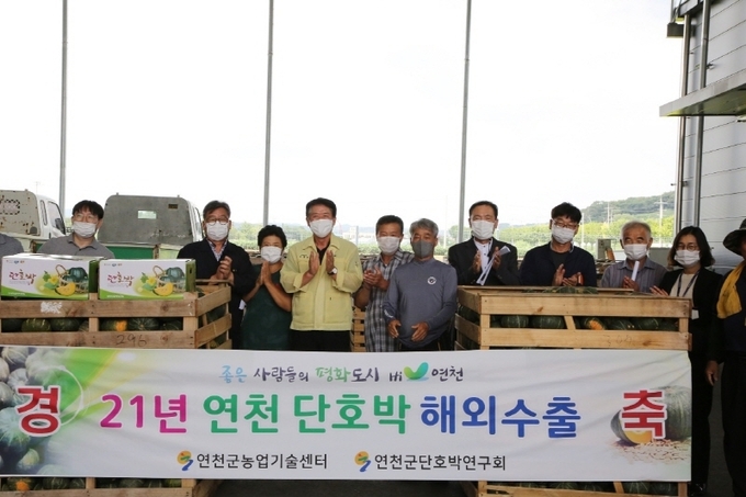 연천군과 농촌진흥청, 경기도농업기술원이 공동으로 수출유망단지로 집중 육성한 단호박이 해외로 수출된다. (사진=연천군 제공)