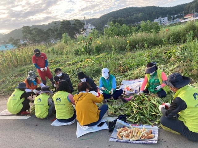 (사진=양평군 양서면 제공)