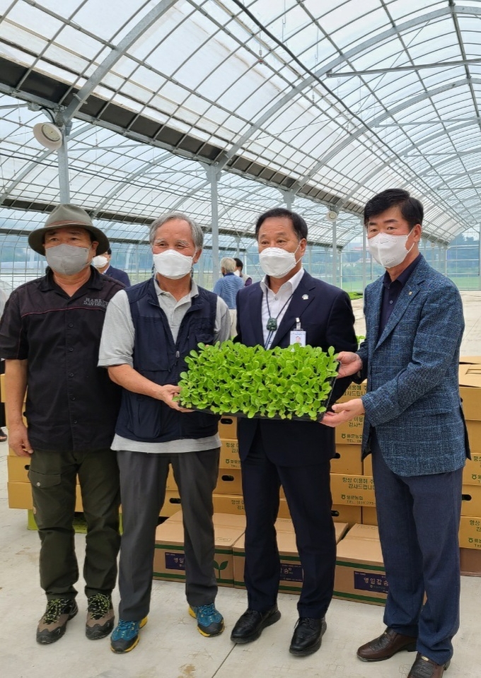 (사진=양평군 용문농협 제공)