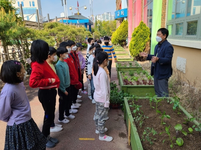 용인시가 조성한 생태텃밭의 모습 (사진=용인시 제공)