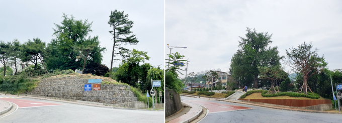 고양시는 지난달 24일 고양동 258-1번지에 위치한 600년생 은행나무 주변을 공원으로 조성해 시민에게 개방했다. 사진은 공원 조성 전(좌측)과 조성 후(우측)의 모습. (사진=고양시 제공) 