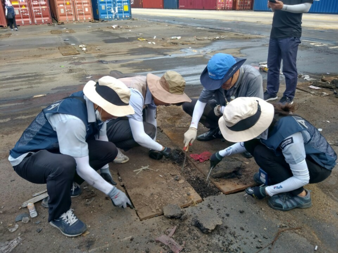 2018년 7월 8일 환경부 조사단이 인천항을 찾아 붉은불개미의 서식 환경을 정밀조사하고 있다. ( 사진 = 환경부 제공 )