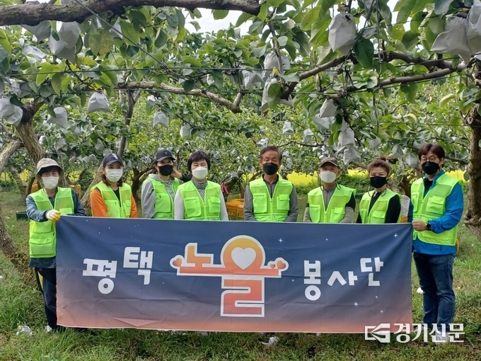 지난 27일 노을봉사단 10여 명이 평택지역 내 과수농가인 정경농장을 방문해 배 수확 봉사활동을 펼친 후 기념사진을 촬영하고 있다. (사진=민주당 평택을지역위원회)
