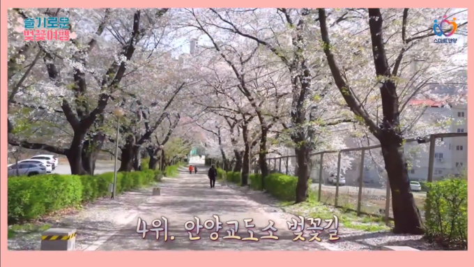 안양시의 소셜 콘텐츠 활용도가 전국 최고 수준으로 평가되었다.(사진= 안양시 제공)