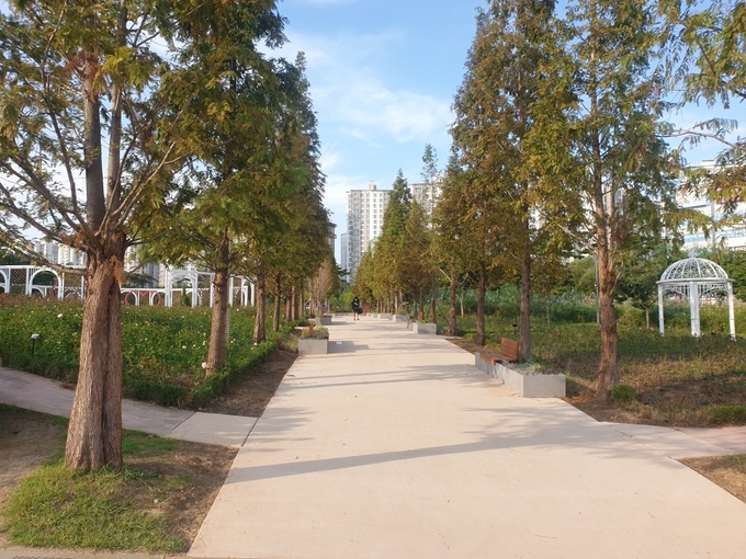 고인돌공원 장미뜨레 가로수길이 재단장을 마쳤다. (사진=오산시 제공)