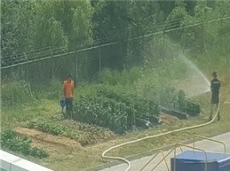 근무 중 화재진압 장비인 소화전과 소방호스를 사용해 농작물에 물을 주고 있는 소방관. ( 사진 = 소사공노 제공 )