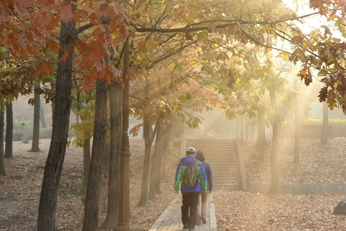 채규정 작 '인천대공원'. ( 사진 = 인천시 제공 )