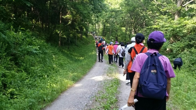지난해 광릉숲 축제. (사진=남양주시 제공)