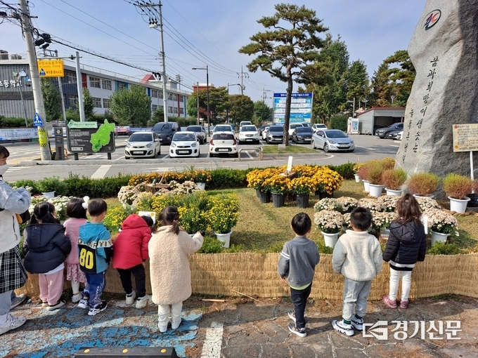 가산면 어르신들이 가꾼 국화를 어린이들이 감상하고 있다. (사진=포천시 제공)