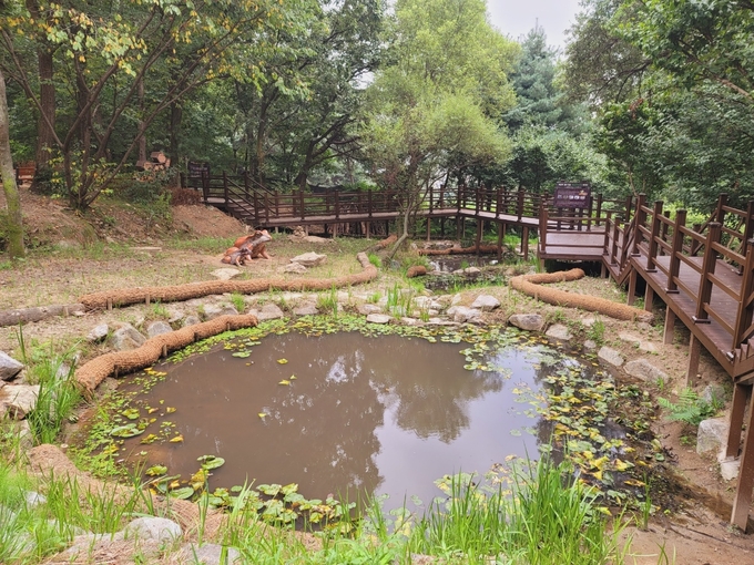  안양시 관악산 간촌골 산림습지 복원 모습.(사진=안양시 제공)