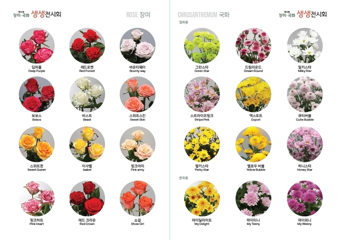 장미·국화 생생전시회 (사진=경기도농업기술원)