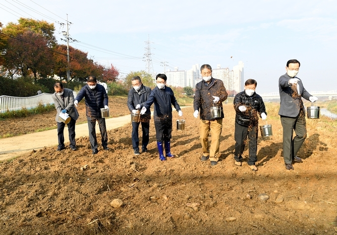 파주시 조리읍 공릉천 일대 산들바람길 조성을 위한 꽃양귀비 파종이 최종환 시장이 참여한 가운데 실시되고 있다. (사진=파주시 제공)